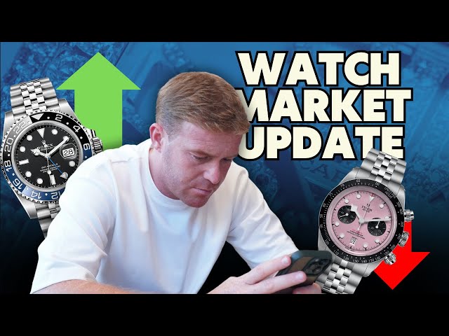 BEST ROLEX MODELS TO BUY AT RETAIL?! Watch market update November 2024