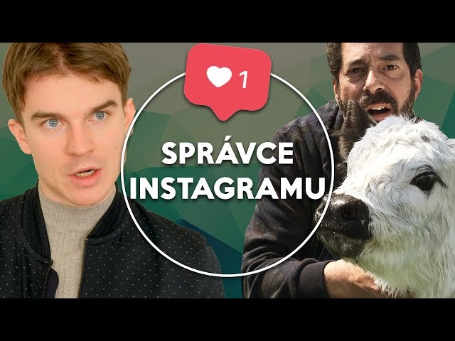 Správce Instagramu | KOVY