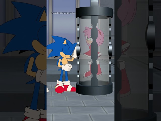 Sonic, We Have Amy Rose At Home