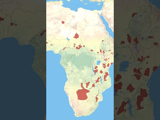 A FRAGMENTED Population 🌍 Animal Fact Files #animals #facts #wildlife