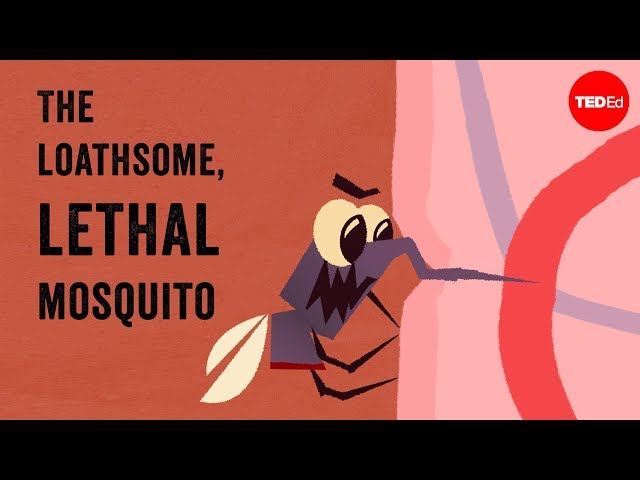 The loathsome, lethal mosquito - Rose Eveleth