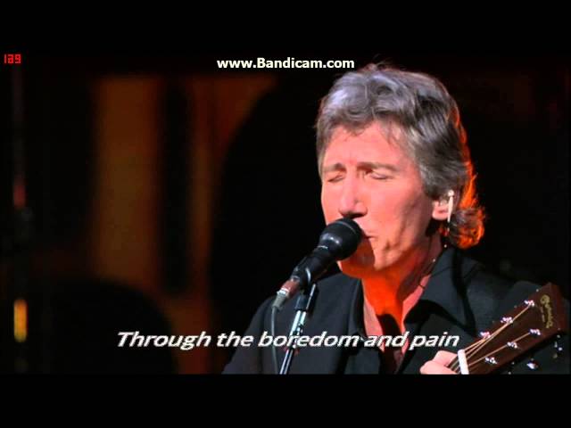 ♫"Roger Waters-Pigs On The Wing, Part 1" (Live) - Lyrics