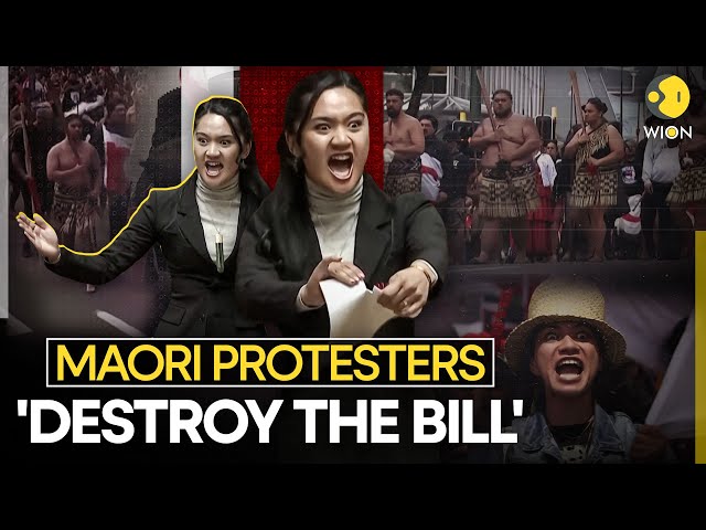 New Zealand: Maori Protesters Protest Outside Parliament Against Treaty Bill | WION Originals