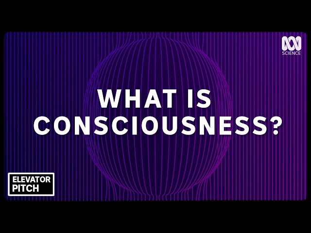 CONSCIOUSNESS — explained in an elevator ride | Elevator Pitch