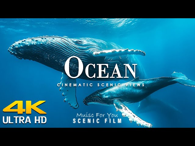 The Ocean 4K UltraHD - Relaxation Film (4k Video UltraHD) - Peaceful Relaxing Music