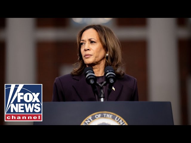 'EPIC DISASTER': Kamala Harris donors furious after 2024 loss