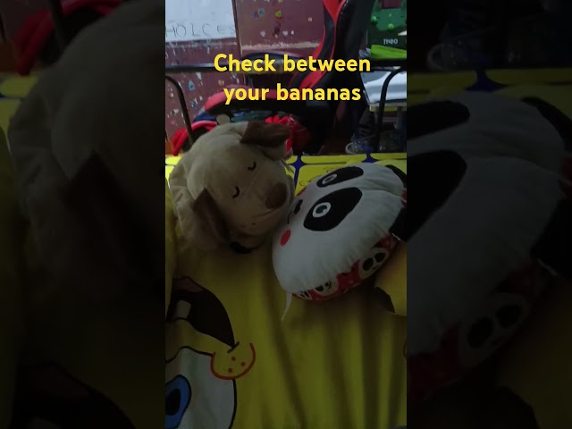 Check the bananas