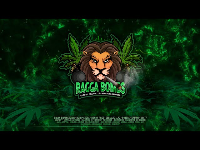 RAGGA BOMBS - Special Mix Vol.15 (Mixed By Caloosh)