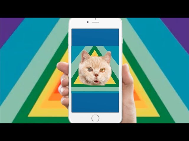 Tiny Speakers, Tiny Screens - Cat Rap | Nathan Dufour