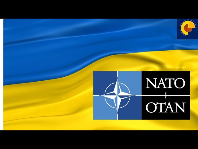 NATO Forces in Ukraine: This is What Will Happen.