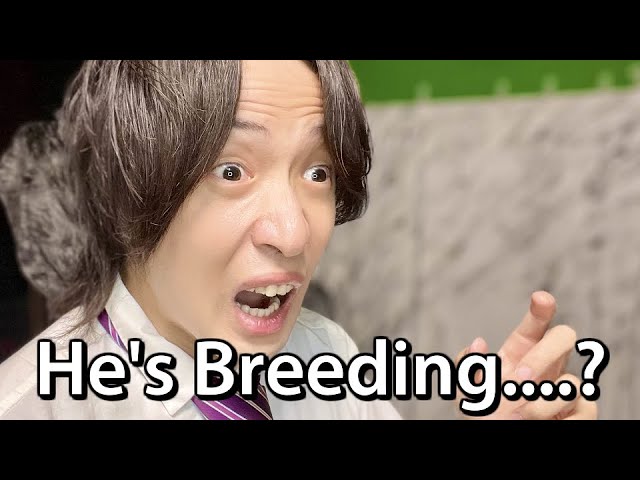 Japanese English Student Pronounces "Teacher is Bleeding"