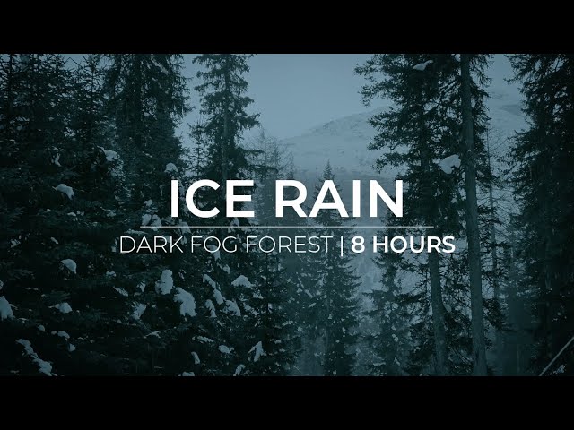 Icy Rain | 8 Hours of ice rain falling in a dark forest