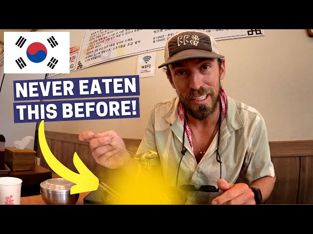 OMG! What The Heck Did I Just Order In Korea!? (Bike Touring Korea #9)