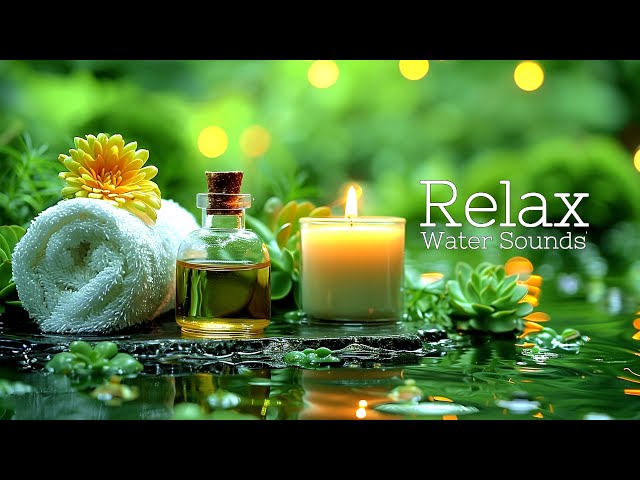 Relaxing Music and The Sound of Water to Relieve Worry and Anxiety 🌿 Relieve Stress