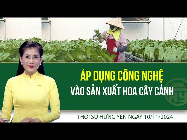 Thời sự Hưng Yên Chủ nhật 10/11/2024