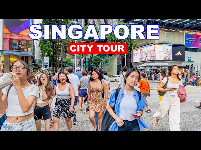 Singapore City Tour | Singapore Clean And Green City Tour 🇸🇬🏙️🌴