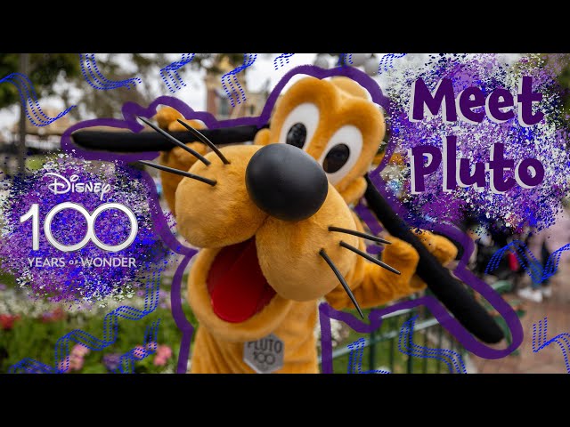 Check out Pluto in his 100th Anniversary collar at Disneyland in 3D VR180