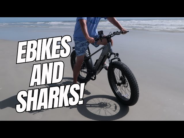 Beach Day with the TST Defender eBike and....A SHARK