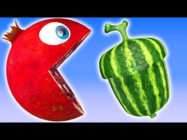 Pacman Pomegranate Kid on the farm as he finds Acorn shaped Watermelon and meets Goat and Cat