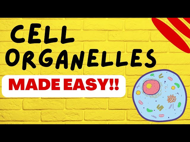 Cell Biology: Cell Organelles explained in 5 minutes!!