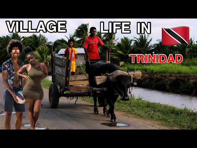 OMG! Village Life in Trinidad & Tobago is NOT What you Think! 🇹🇹