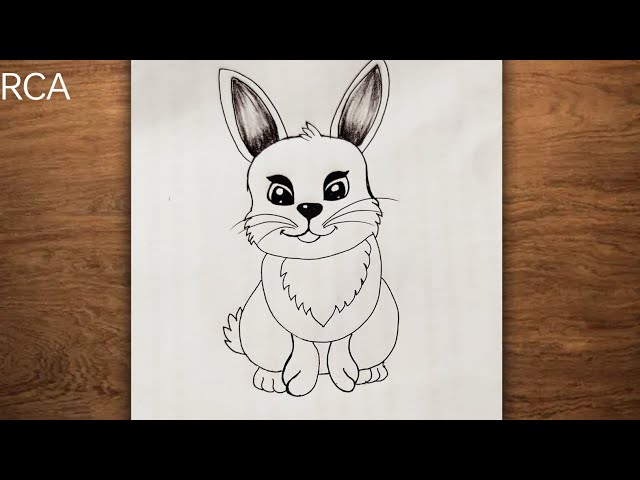 Cute cartoon Bunny Drawing step by step ll Rabbit easy drawing ll pencil drawing for beginners ll