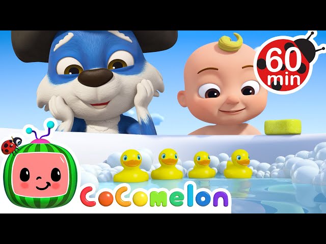 5 Little Ducks Bath Time 🐤 | CoComelon - Animal Time | Nursery Rhymes for Babies