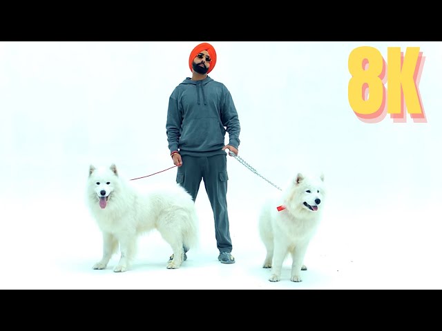 Teri Jatti - Ammy Virk Full Video Hindi Punjabi Songs in 8K / 4K Ultra HD 60 FPS