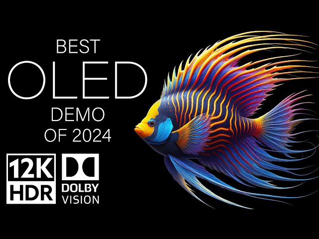 BEST OLED DEMO OF 2024 - DOLBY VISION 12K HDR 120fps