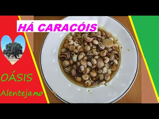 Receita de Caracois Alentejanos