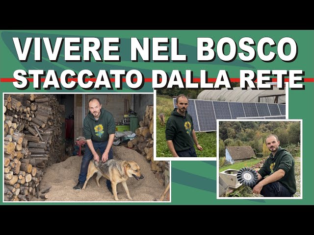 VADO A VIVERE NEL BOSCO #casa #offgrid