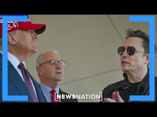 Trump-Musk 'bromance': Will their relationship last? | On Balance