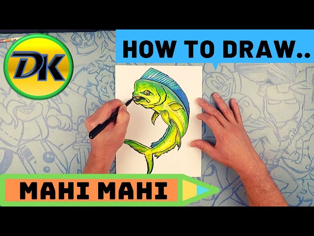 How to Draw a Mahi Mahi