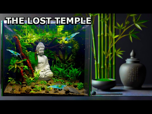 The Lost Temple: Amazing Low-Tech Tank for Neocaridina Shrimps. (Aquascape Tutorial)