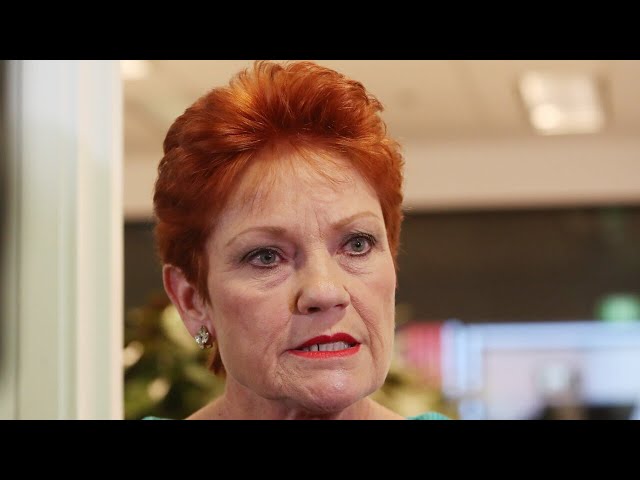 ‘Pathetic from a senator’: Hanson slams Lidia Thorpe storming women’s rally