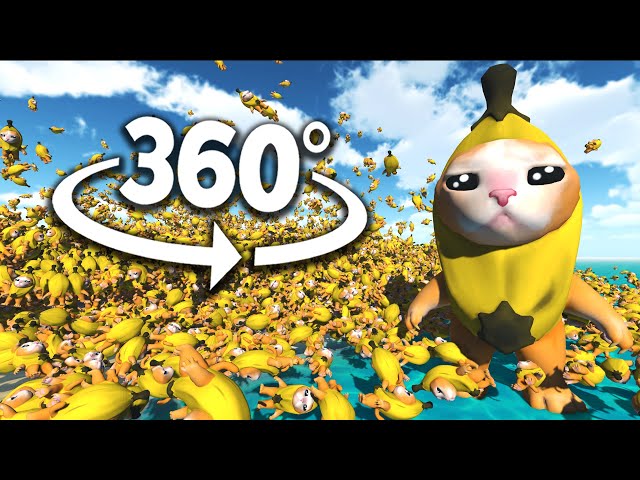 Banana Cat 50,000 TIMES! 360° | VR/360° Experience