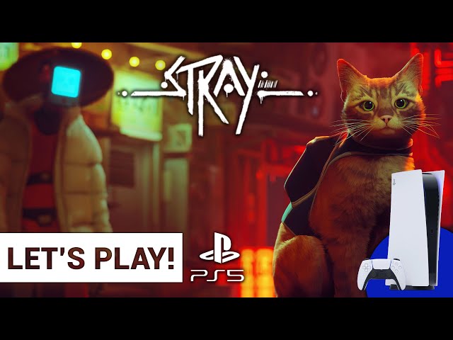 Let's Play Stray On PS5 - The purrrfect cat simulator in a dystopian city