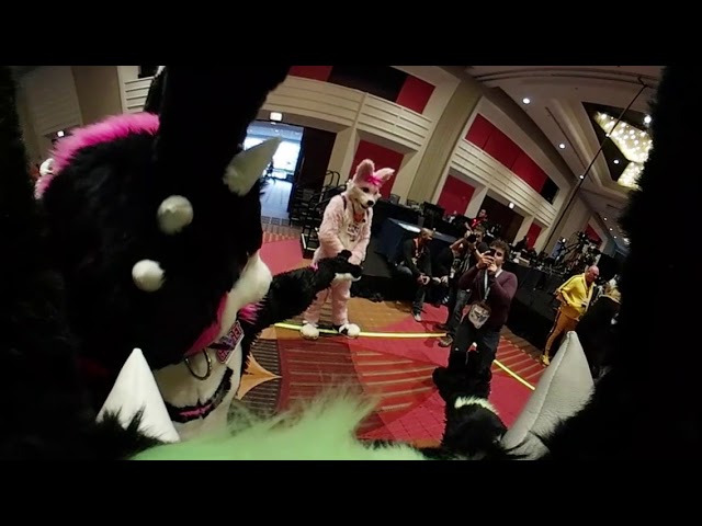 We'll walk you through the Menagerie! 360 video at Midwest Furfest 2019 with Gadget and Gizmo PART 2