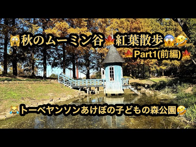 【プレミア】🙀秋のムーミン谷・紅葉散歩・PART1(前編)😱トーベヤンソンあけぼの子どもの森公園・埼玉県飯能市(23m37s）🤣#ヒーリング#Healing #riokazumi #日めくりピアノ語