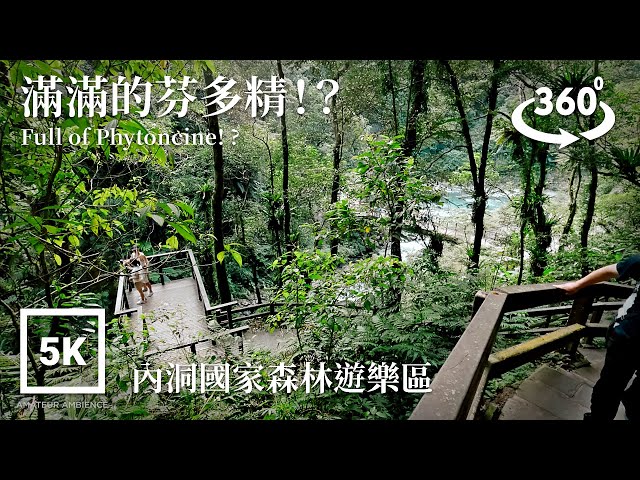 5K 360 VR Taiwan Walk午後來杯芬多精嗎?How about a cup of Phytoncine?!Asmr Amateur Ambience Built Environment