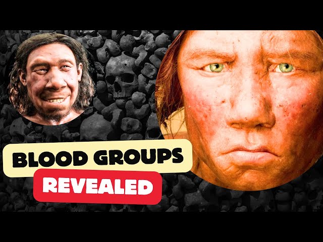 Groundbreaking Discovery Reveals Neanderthal and Denisovan Blood Groups