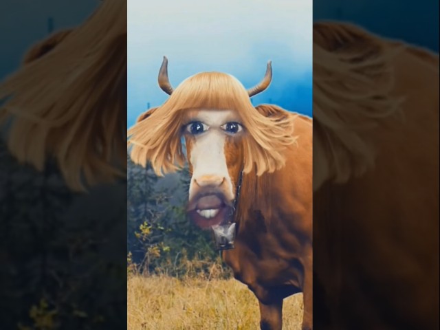 Cow sound funny face 🤪🤪🤠🤪 #shortsvideo #shorts #funny #funnyanimals