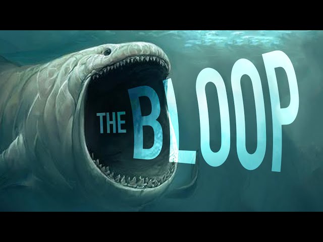 The Unsolved Mystery of the Bloop