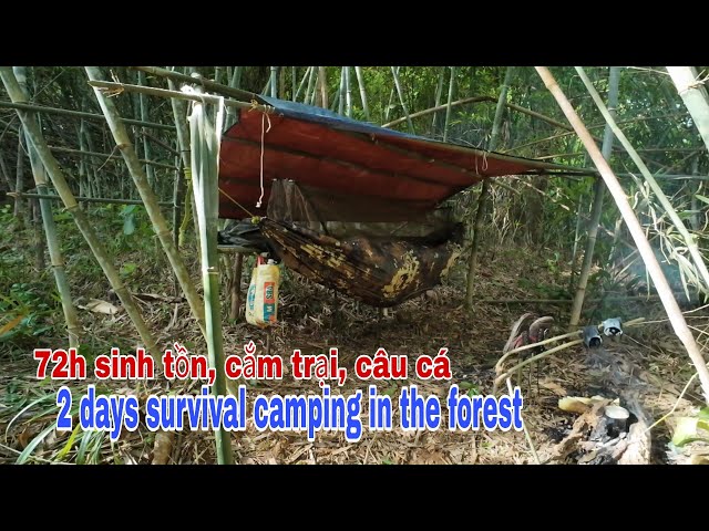 72H SURVIVAL CAMPING FISHING IN THE FOREST - 3 days survival camping in the forest