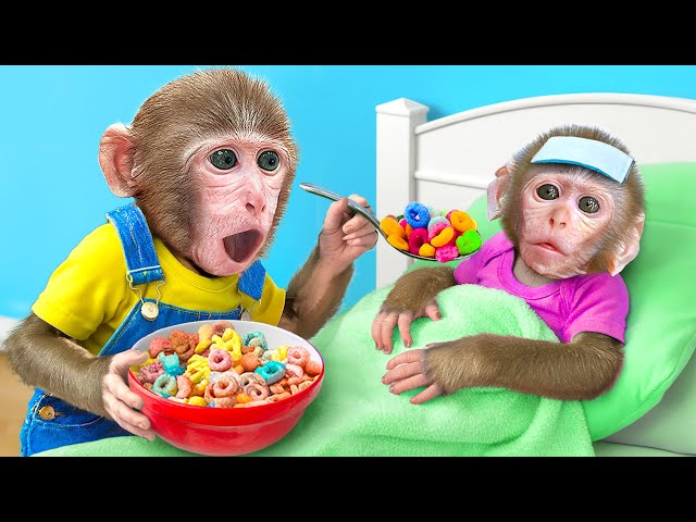 KiKi Monkey pretend Good Brother to Take are of Little Baby Monkey | KUDO ANIMAL KIKI