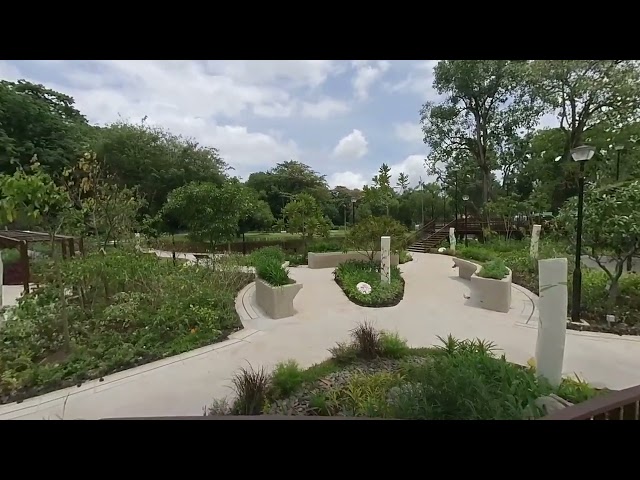 Virtual Reality 3D Video  Wellness Garden with Music Mix ..