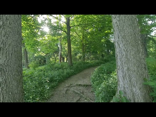 Horticulture Park - 4K (3D 180VR LR) Relaxing, Slow-paced Nature Video Collage