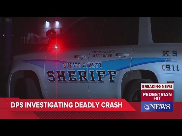 Pedestrian hit, killed by car on FM 2444