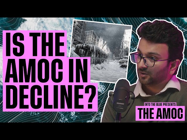 Could the AMOC COLLAPSE? Consequences and Misconceptions | Into the Blue Presents: The AMOC (EP3)