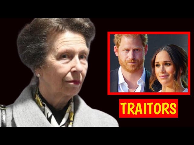 I CAN'T TAKE IT Anymore! FURIOUS Anne Shames Harry & Meghan For Backstabbing The British Monarchy